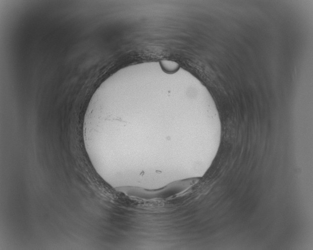 X0000073841201200609071532