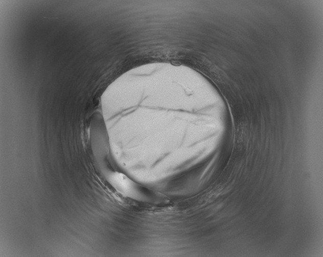 X0000073841202200609071532