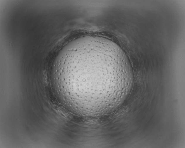 X0000073841205200609071532