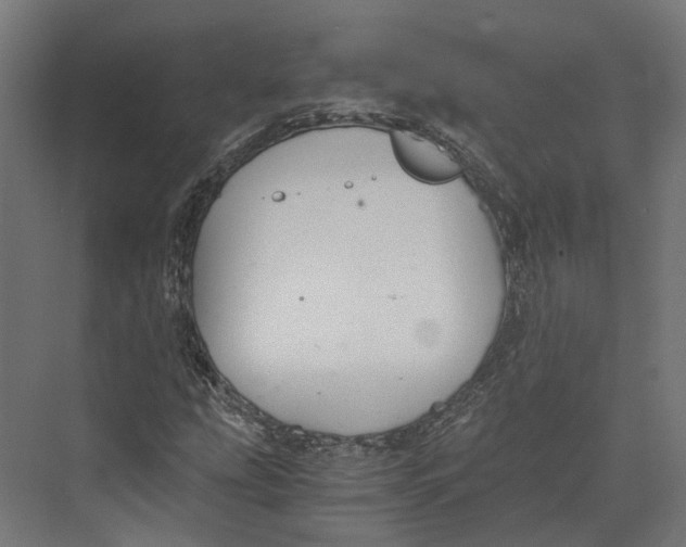 X0000073841207200609071532