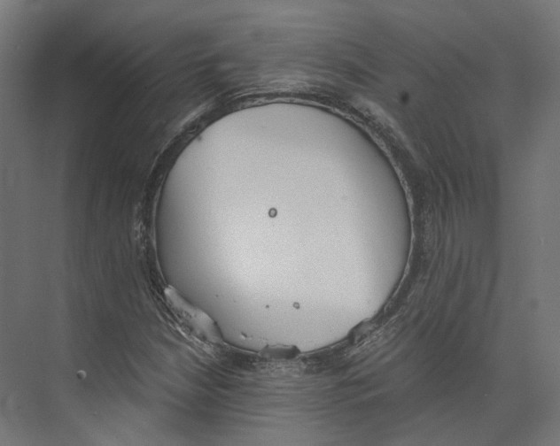 X0000073841210200609071532