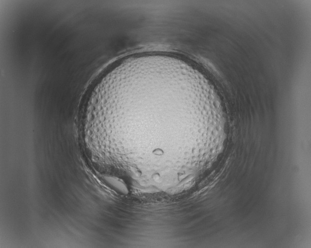 X0000073841212200609071532