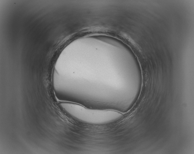 X0000073841213200609071532