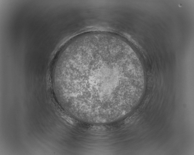 X0000073841215200609071532