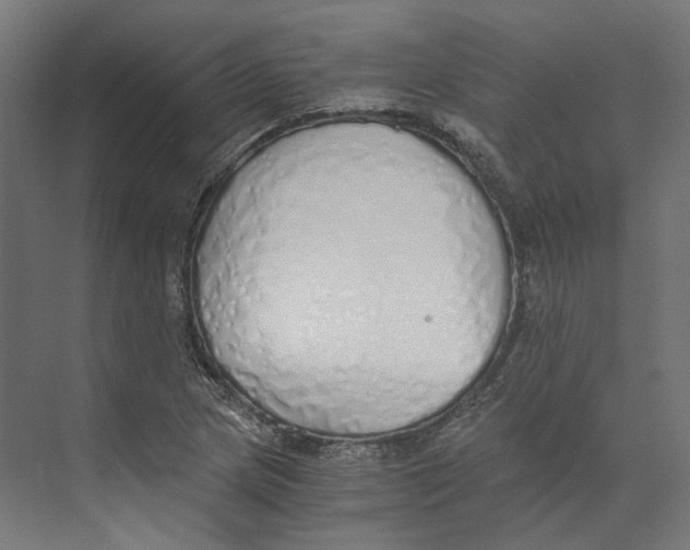 X0000073841217200609071532