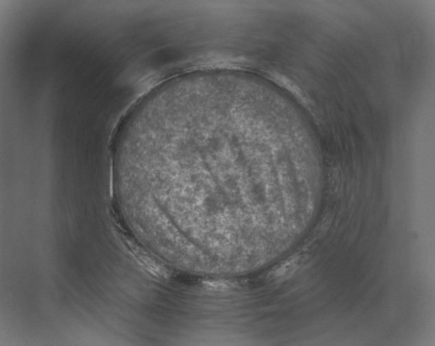 X0000073841219200609071532