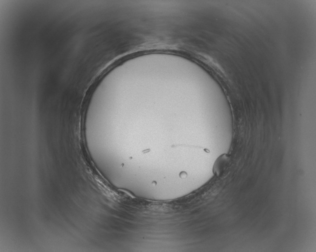 X0000073841220200609071532