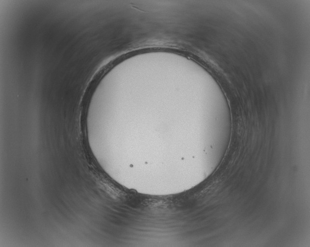 X0000073841222200609071532