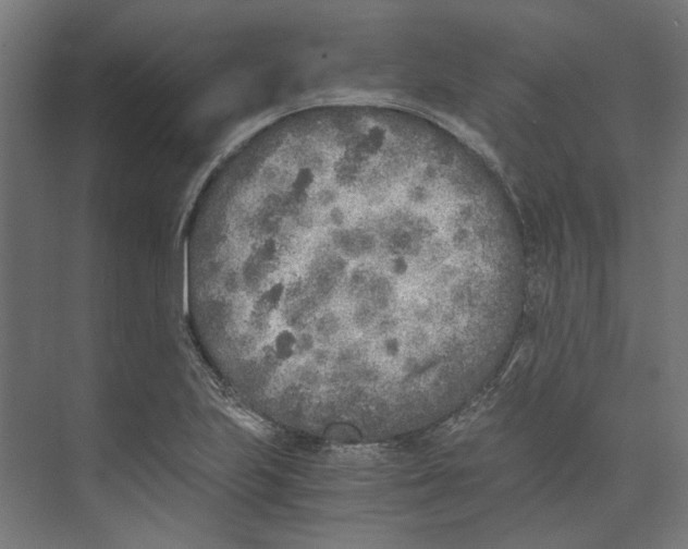 X0000073841223200609071532