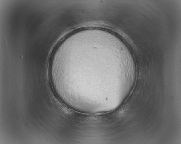 X0000073841224200609071532