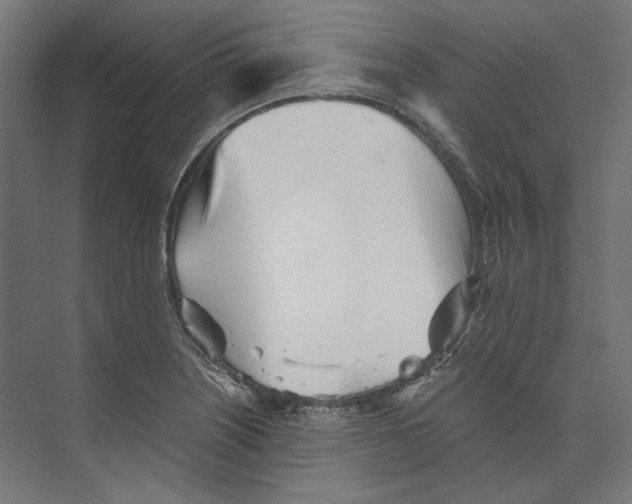 X0000073841226200609071532