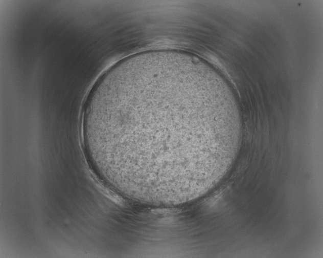 X0000073841227200609071532