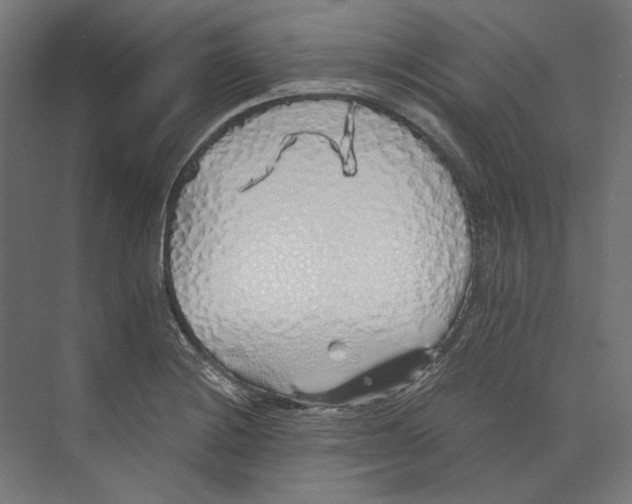 X0000073841228200609071532