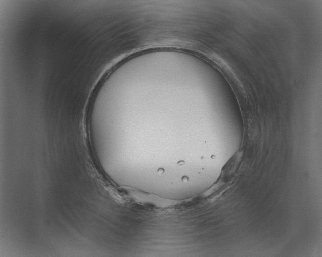 X0000073841230200609071532