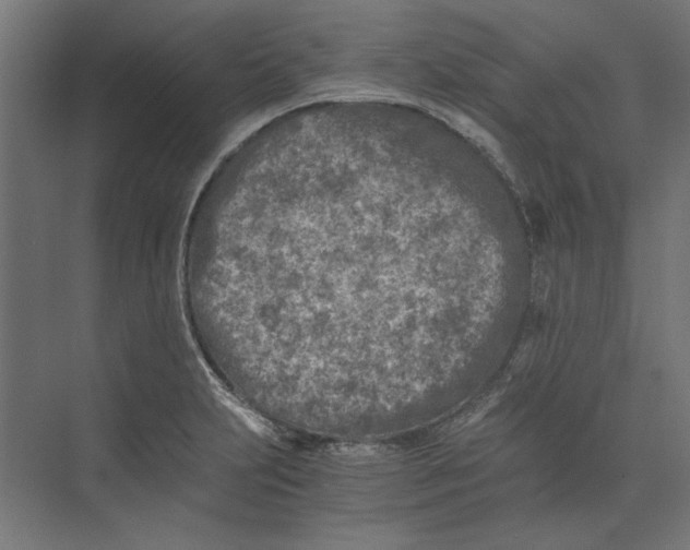 X0000073841231200609071532