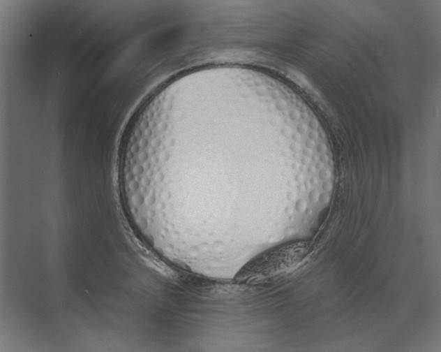 X0000073841232200609071532