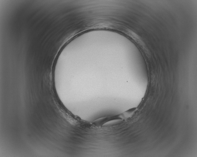 X0000073841234200609071532