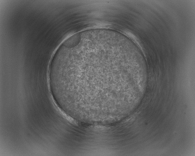 X0000073841235200609071532