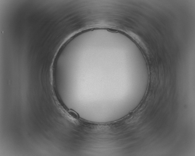 X0000073841238200609071532