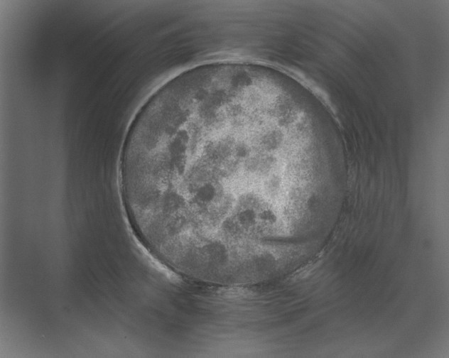 X0000073841239200609071532