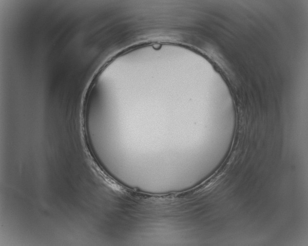 X0000073841240200609071532