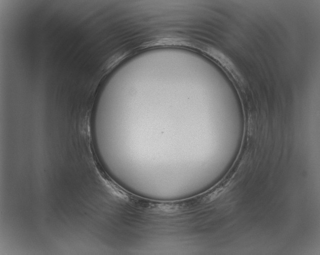 X0000073841241200609071532