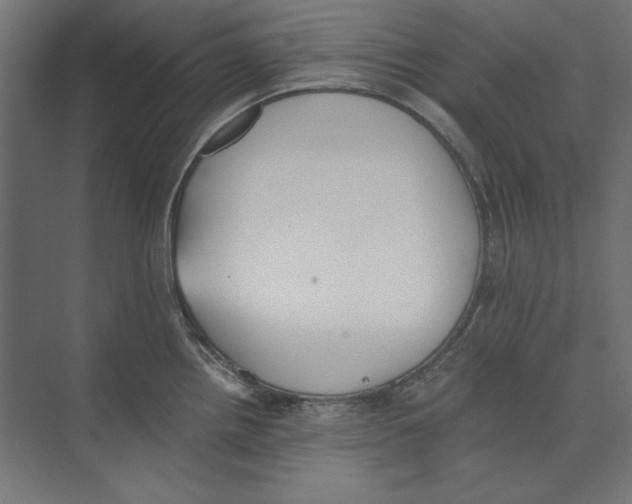 X0000073841242200609071533