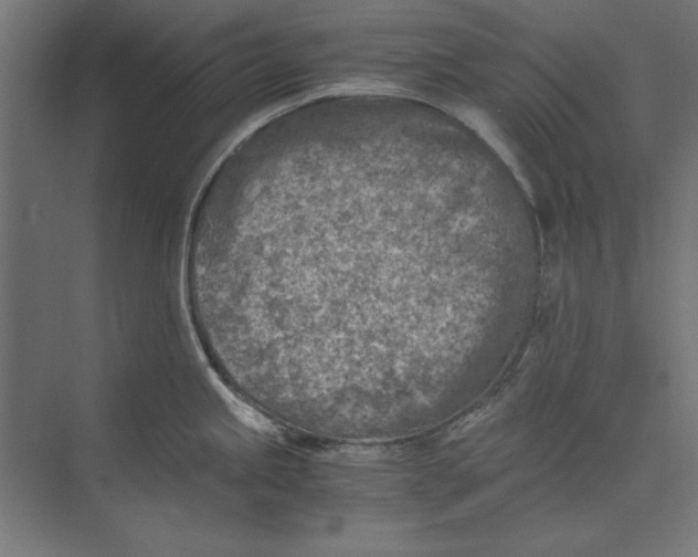 X0000073841245200609071533