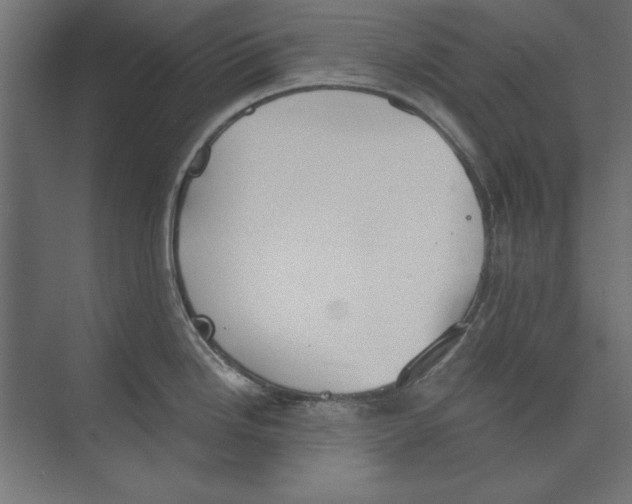 X0000073841246200609071533