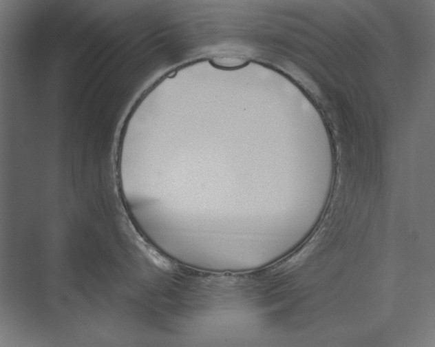 X0000073841248200609071533