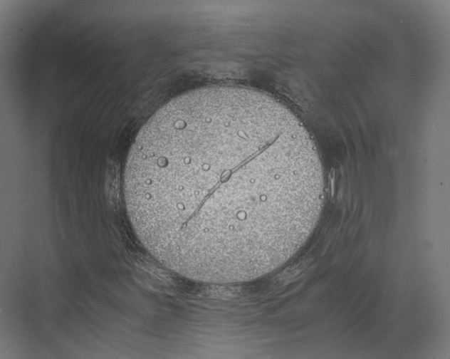 X0000073841251200609071532