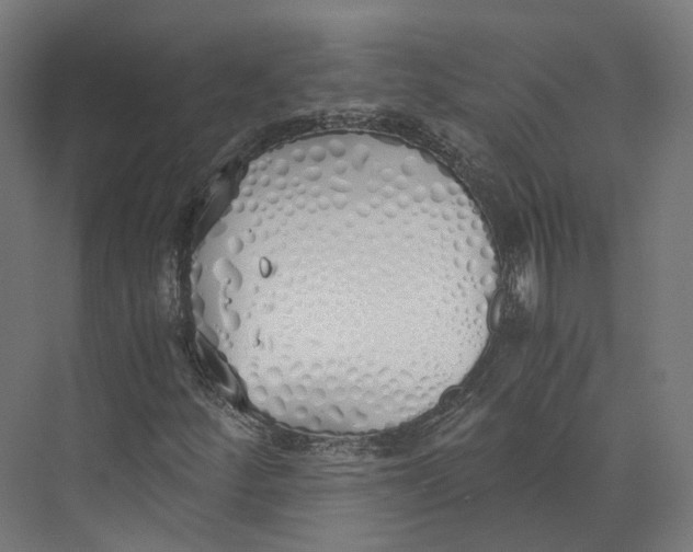 X0000073841252200609071532