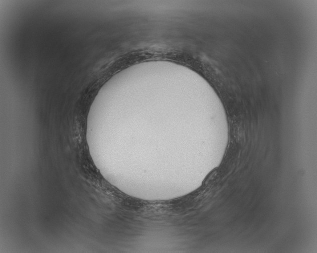 X0000073841253200609071532