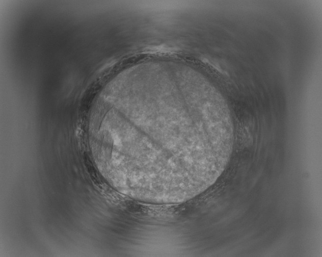 X0000073841254200609071532