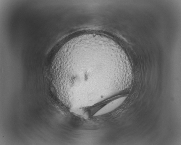 X0000073841255200609071532