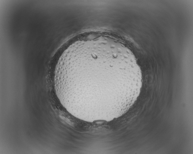 X0000073841256200609071532