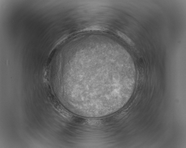 X0000073841258200609071532