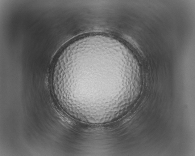 X0000073841260200609071532