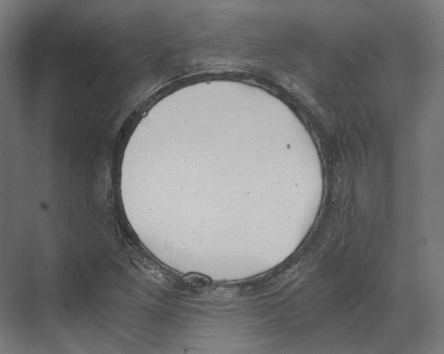 X0000073841261200609071532