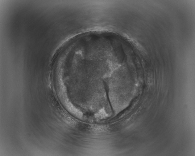 X0000073841262200609071532