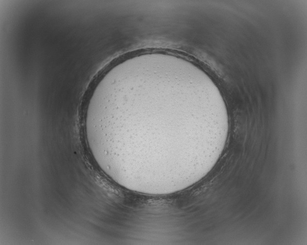 X0000073841264200609071532