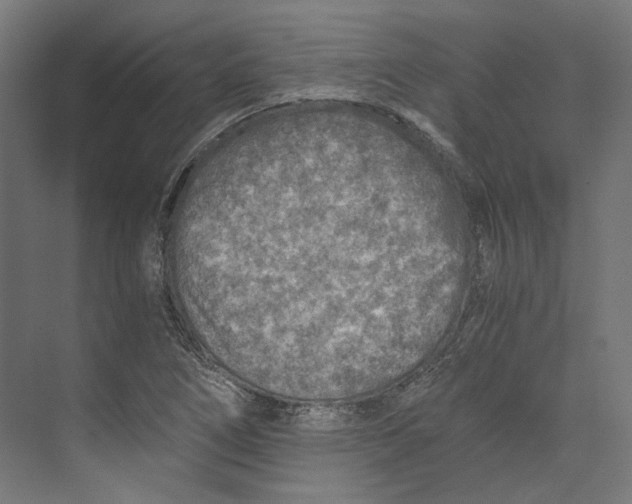 X0000073841266200609071532