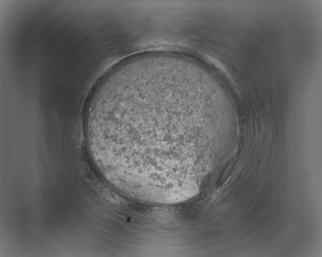 X0000073841267200609071531