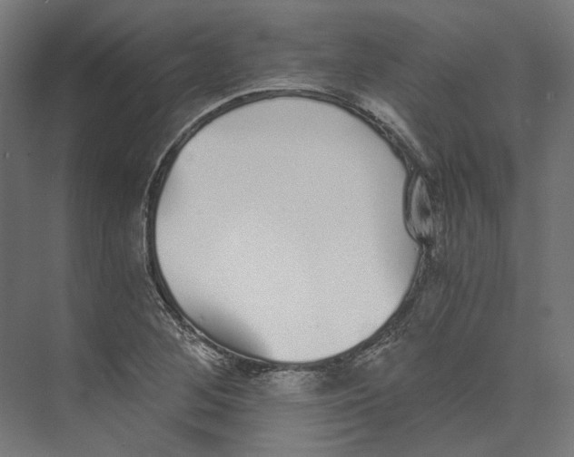 X0000073841268200609071531