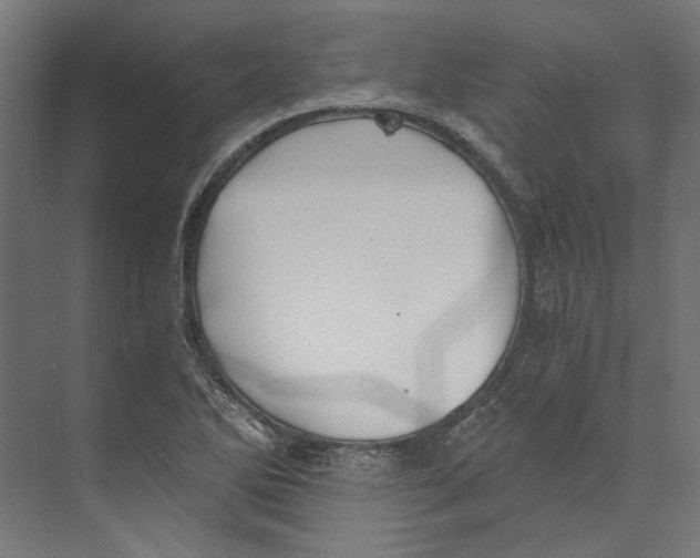 X0000073841270200609071531