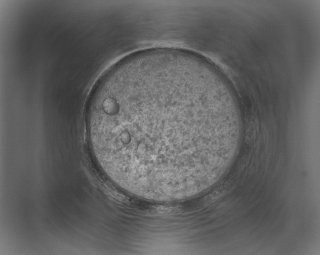 X0000073841271200609071531