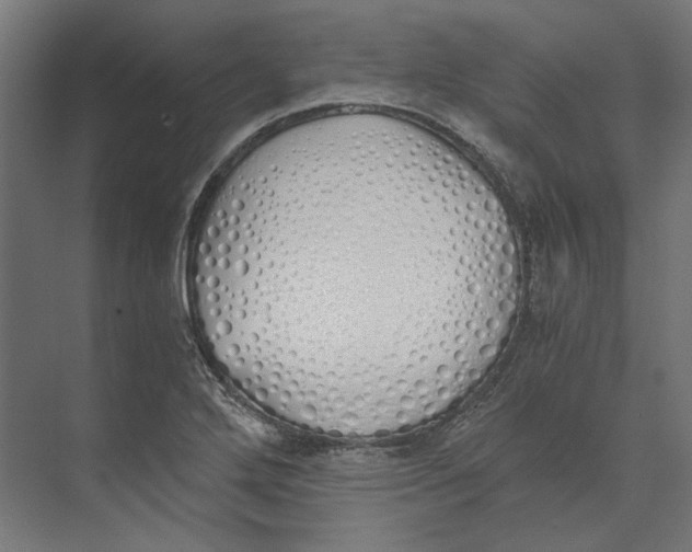 X0000073841272200609071531