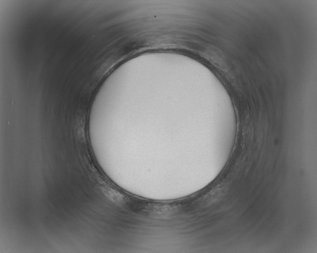 X0000073841273200609071531