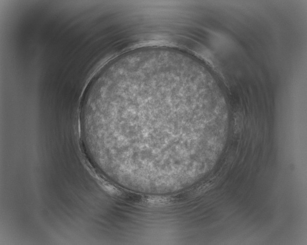 X0000073841274200609071531