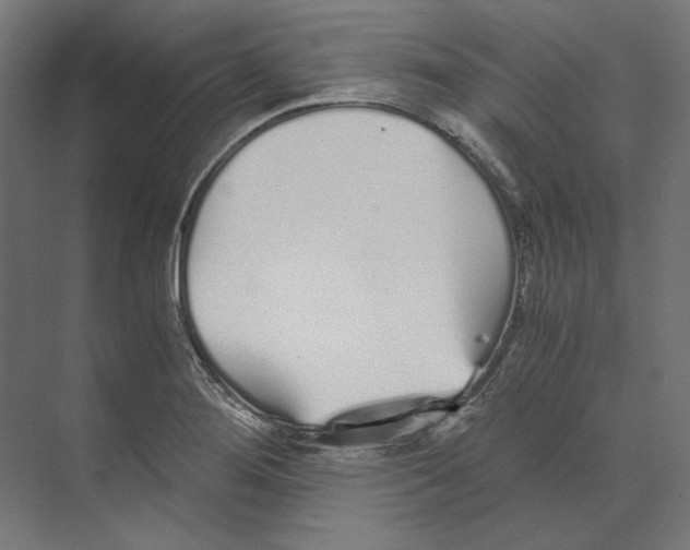 X0000073841276200609071531